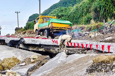 Lanyu of Seeing-43's Cover