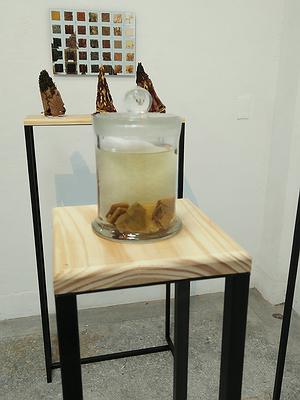 中藥系列作品14
