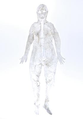 〈皮囊 Ⅰ〉，2015，樹酯，90 ×180 cm。的封面圖