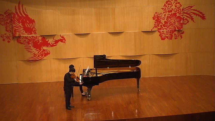 Analysis Study and Interpretation of Viola Concerto mov. I by Béla Bartók's Cover
