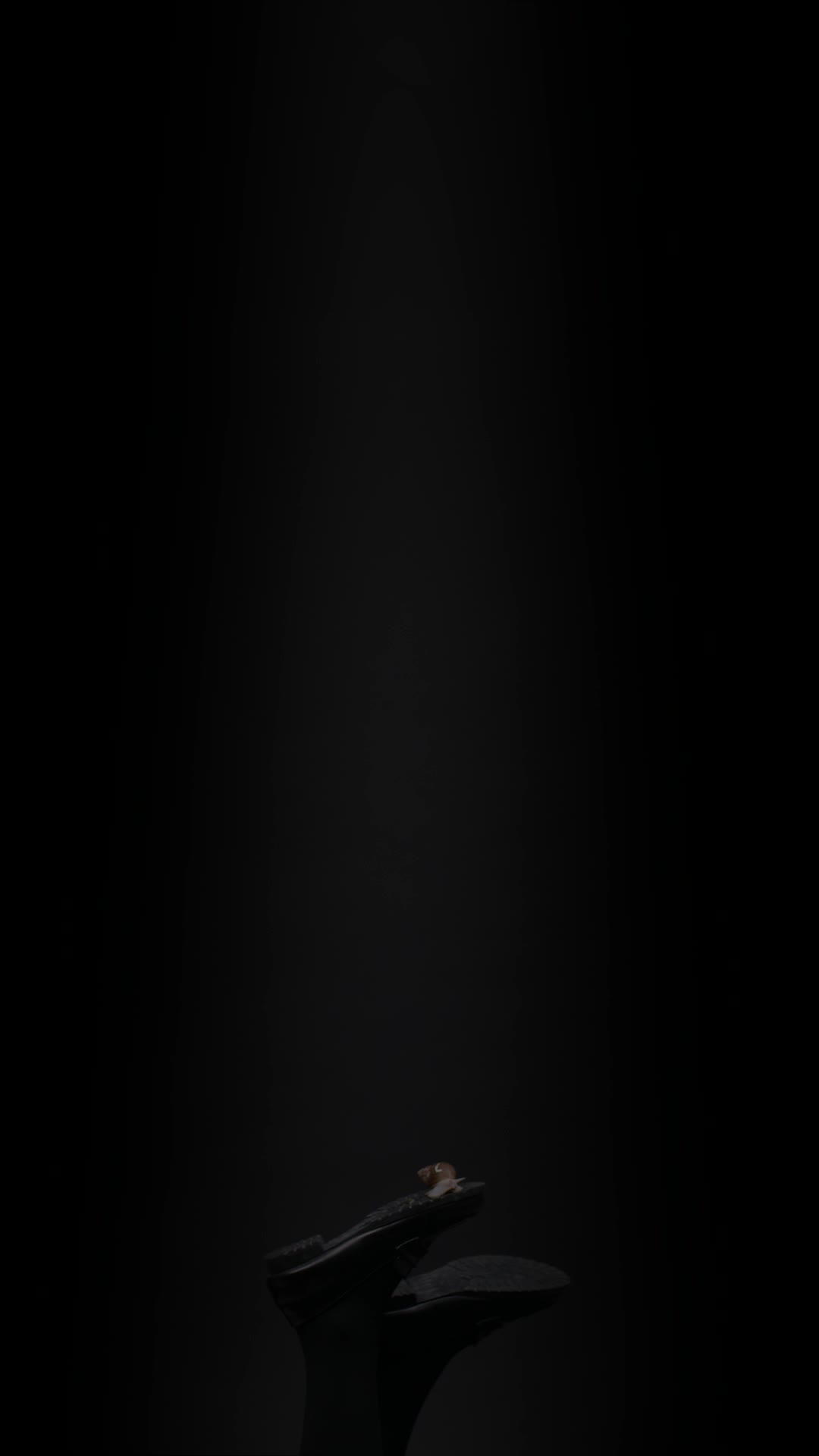 Private Portfolio and Private Video — An Art Project of “Intimate Monogatari” on Video Installation's Cover