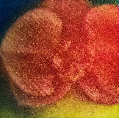 墨蘊花喻—28〈霓—Phalaenopsis〉的封面圖