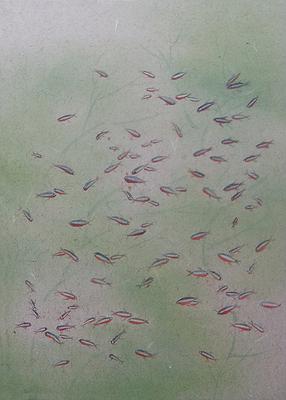 Carefree・Inspiring-The Thesis of Chinese Ink and Color Painting's Cover