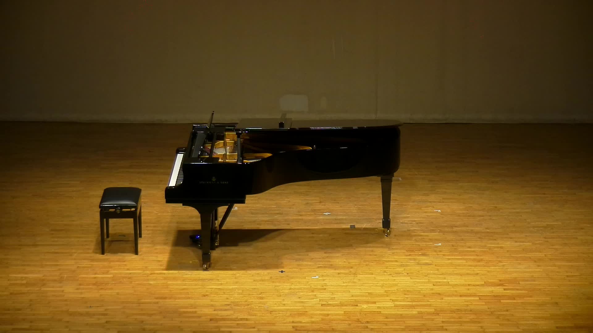 多明尼克．阿爾堅多《春之歌》分析與詮釋的封面圖