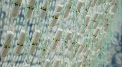 喬安娜瓦斯康塞洛斯，新娘特寫，2005