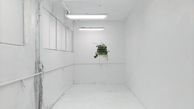 人與自然的介面 －黃冠菱創作研究3