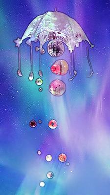 's Cover