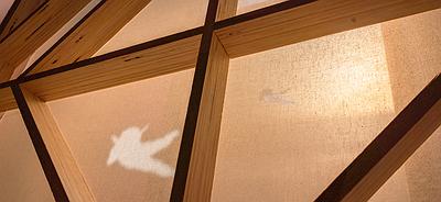 卡門線-12的封面圖