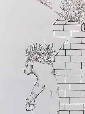 圖載場—白虛與夜實的生物世界-14