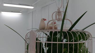 人與自然的介面 －黃冠菱創作研究4