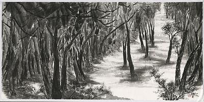 造化．心源  陽明山生態之美-12