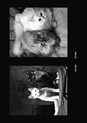 A Portrait of My Father–a-01's Cover