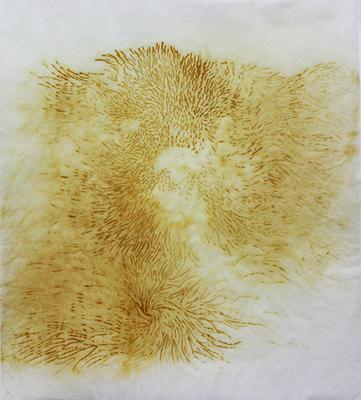 《焦焦兒》的封面圖