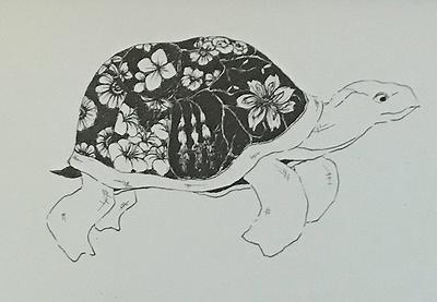 圖載場—白虛與夜實的生物世界-26