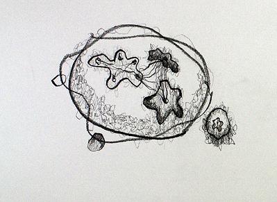 Plants Healing—A Discourse on Ying-Syuan Huang's Artworks's Cover