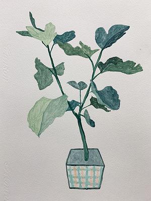 Plants Healing—A Discourse on Ying-Syuan Huang's Artworks's Cover