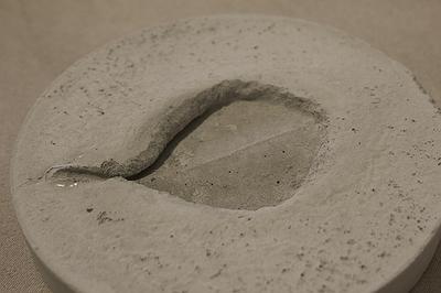 多線創作的首拍：陳昱廷創作研究 23陳昱廷，〈成為化石〉，水泥，圓形四個(直徑分別為11公分、10.9公分、11.3公分、10.9公分)、長方形兩個(12.2x23.7公分、21.5x22公分)，2021。7