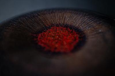 相˙象——林靖崧陶藝創作論述-天使之眼-4