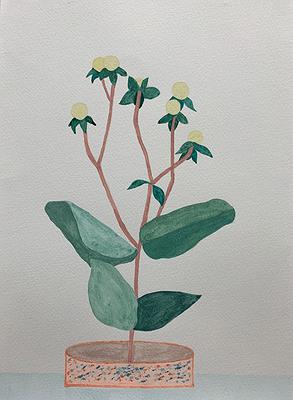 Plants Healing—A Discourse on Ying-Syuan Huang's Artworks's Cover