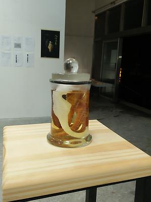 中藥系列作品13