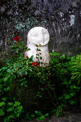 青苔球花器3的封面圖