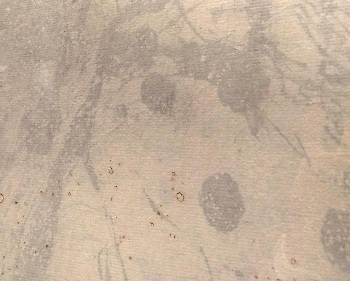 022_2015_白板_03的封面圖