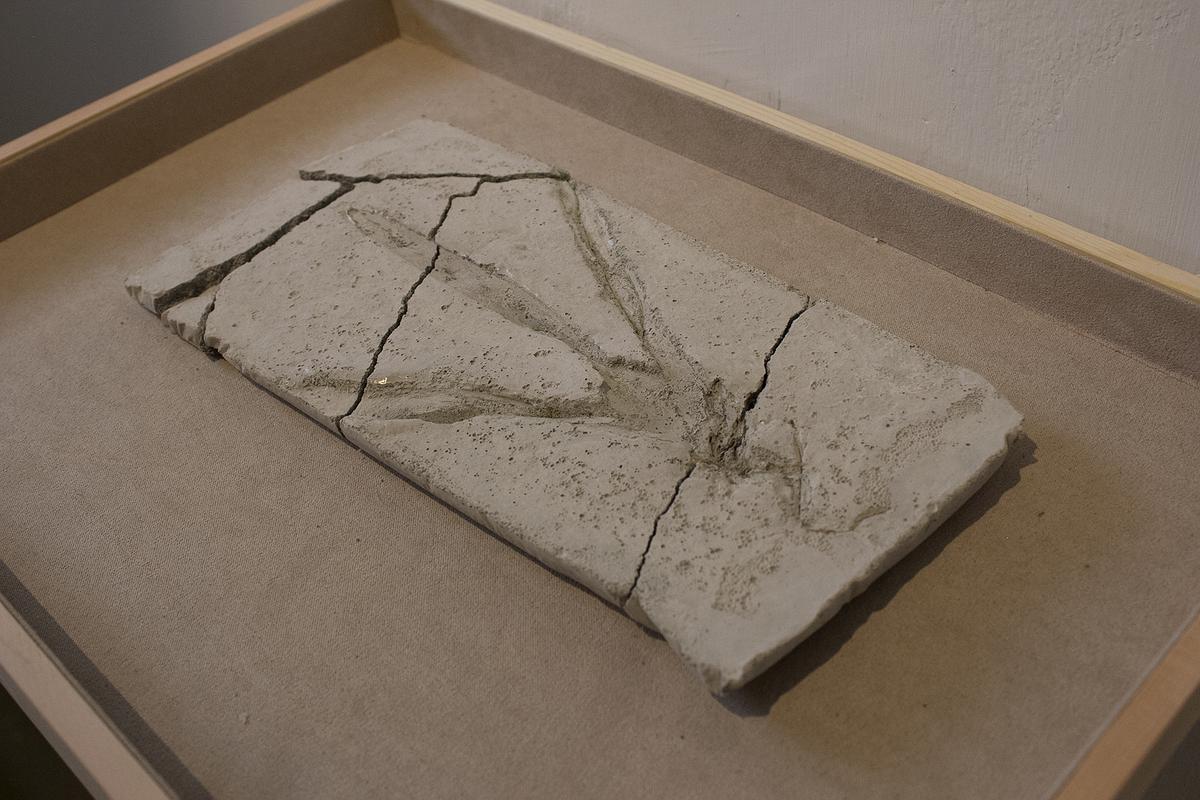 多線創作的首拍：陳昱廷創作研究 21 陳昱廷，〈成為化石〉，水泥，圓形四個(直徑分別為11公分、10.9公分、11.3公分、10.9公分)、長方形兩個(12.2x23.7公分、21.5x22公分)，2021。5的封面圖