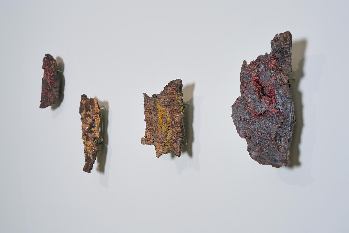 2025_11_Scab_brooch_bark_exhibition的封面圖
