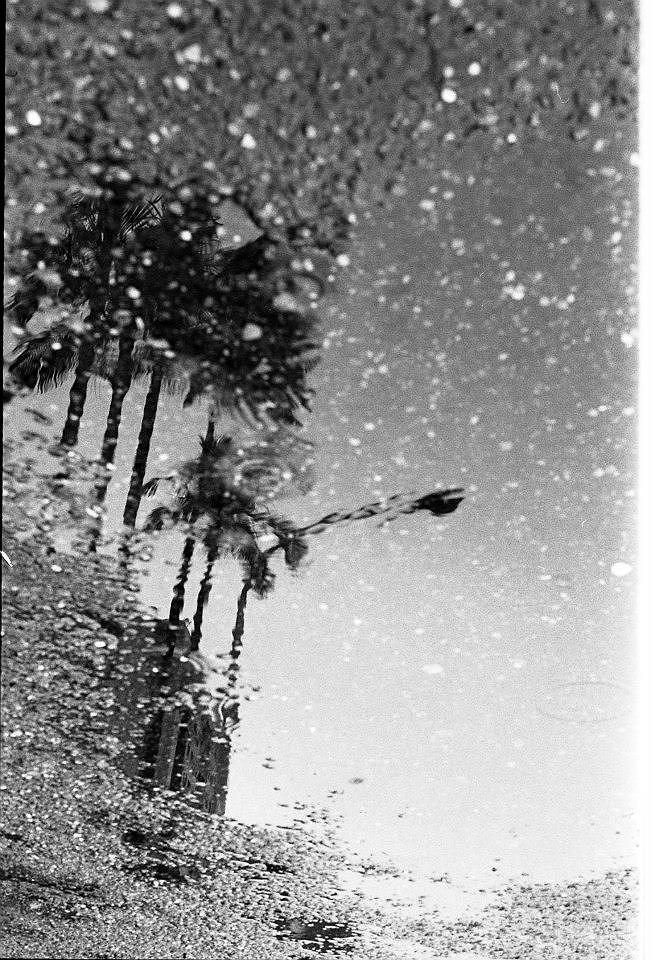 2012 金華街 這裡的風景都在這裡的雨裡。的封面圖