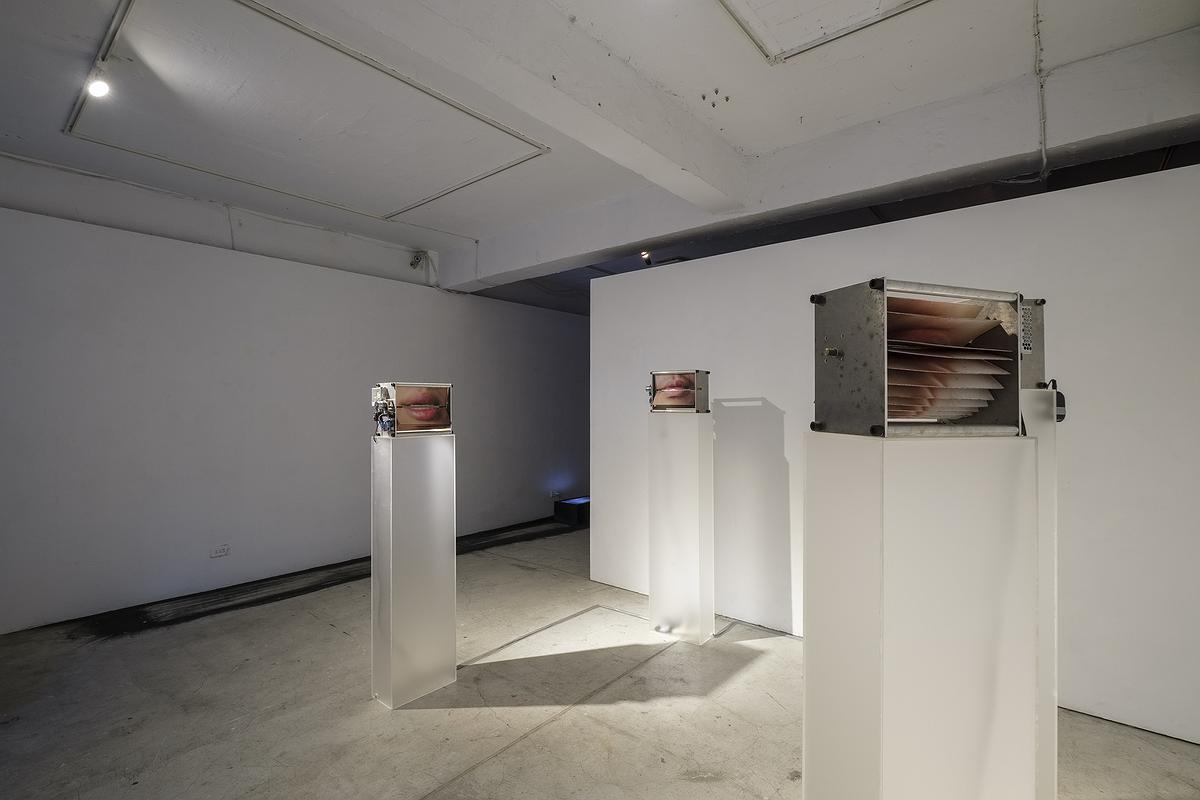 「視覺共鳴—回音模式」—林芷安創作研究 作品相片-31的封面圖