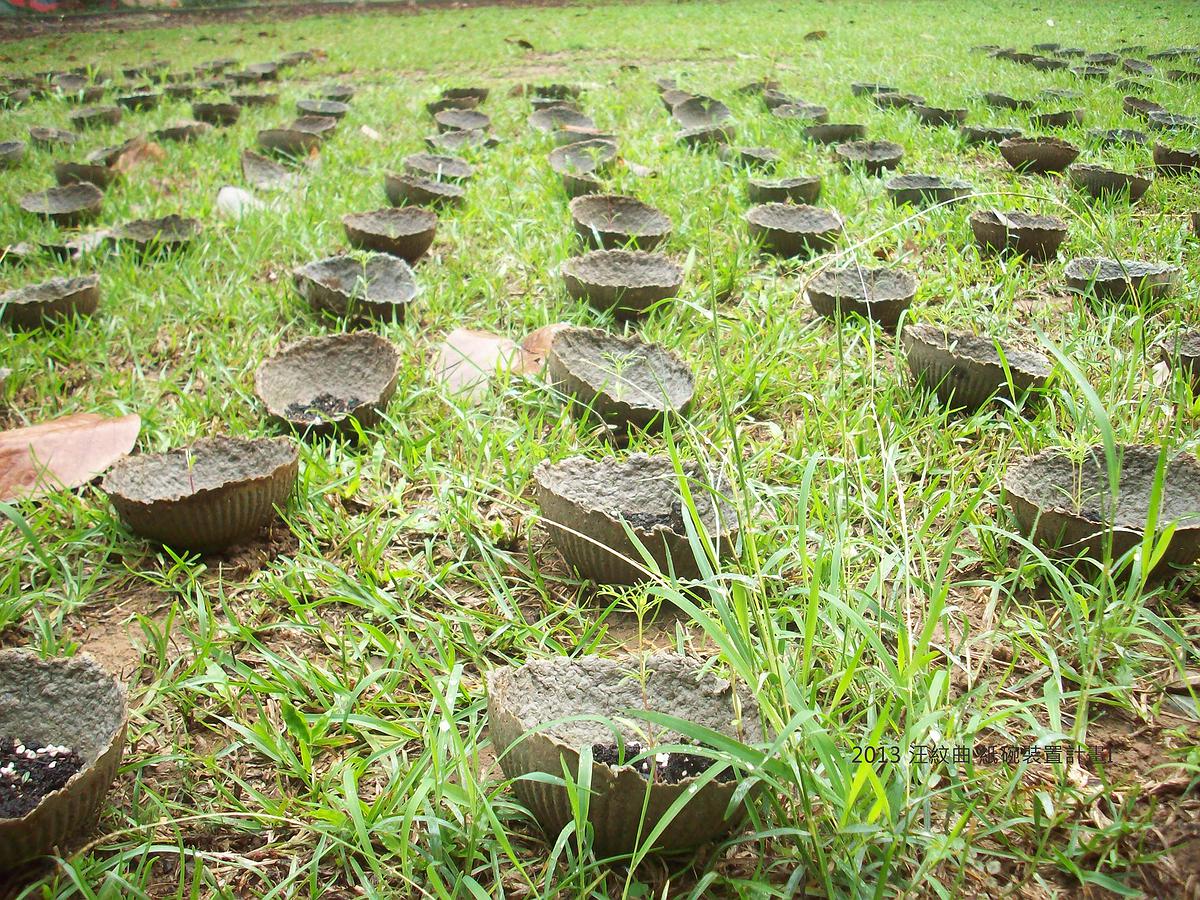 汪紋曲作品-2的封面圖