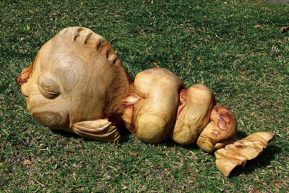 2014捲曲魚b的封面圖