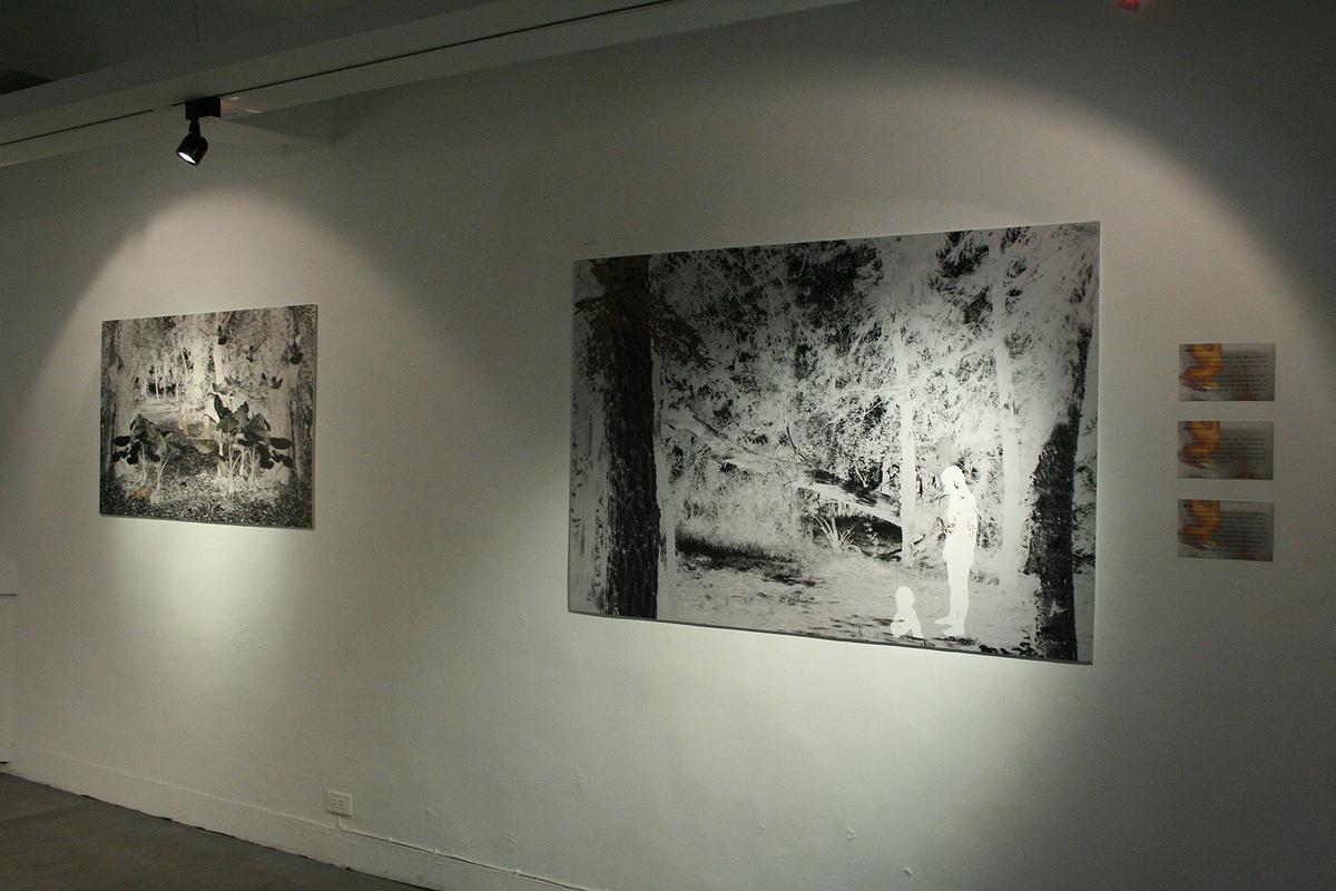 The New Wen ren Photography-Feminine Photograph's Cover