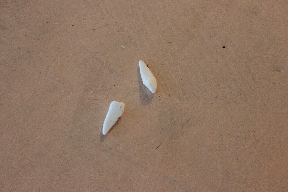 記憶文本/感知情境/玄關 - 40的封面圖