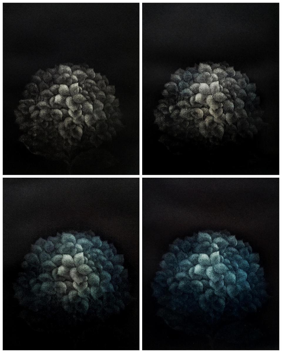 墨蘊花喻—13〈韞—Hydrangea〉的封面圖