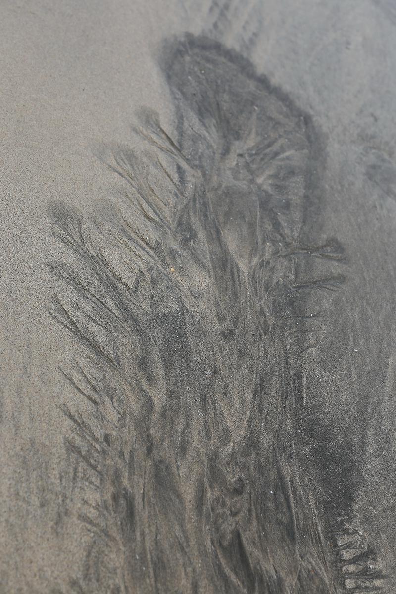 水紋系列-祈禱-2017-澎湖的封面圖