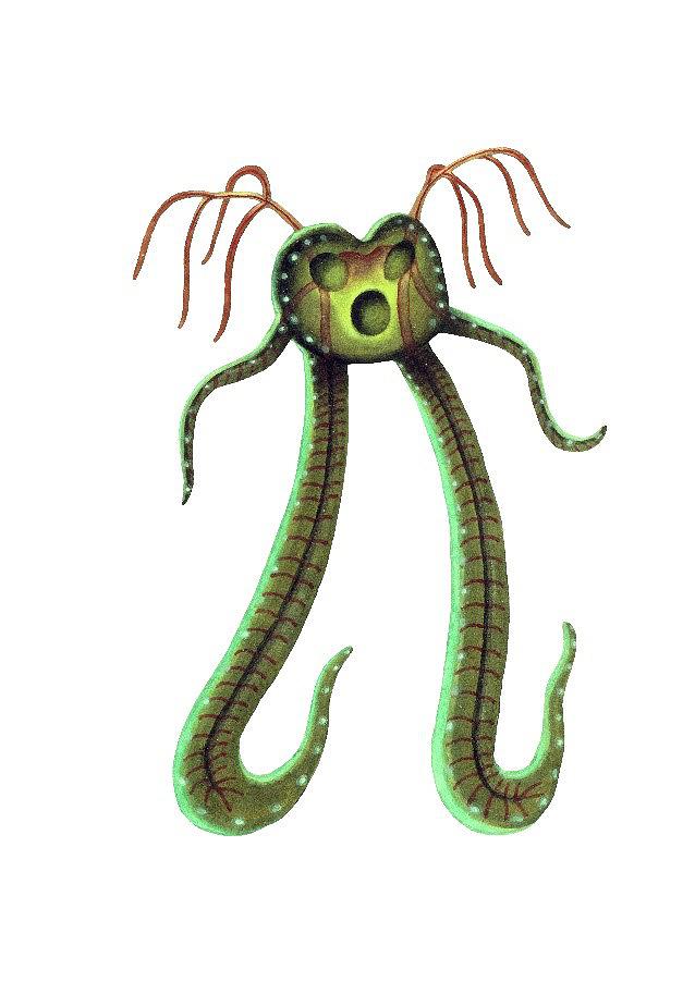 作品4 葉綠猴的封面圖