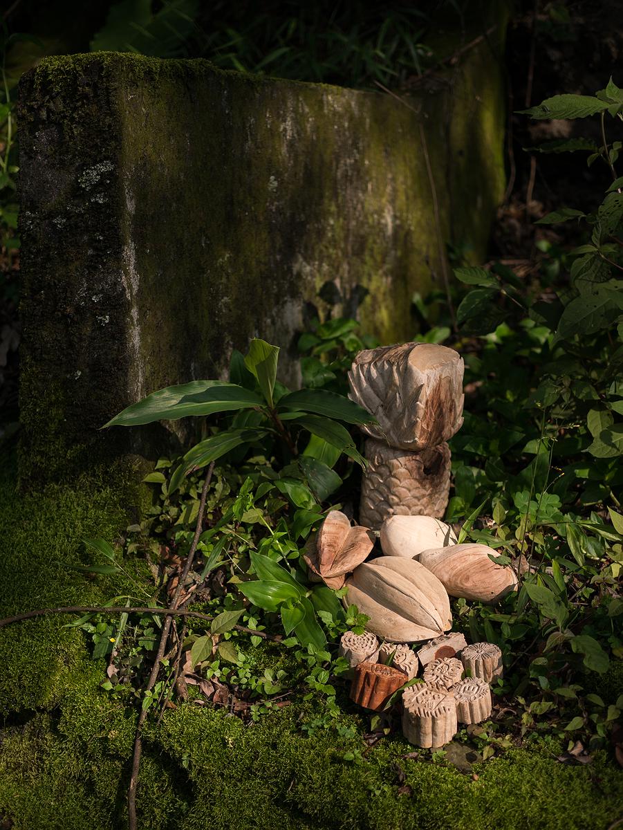 From the Mountains to the Sea: Walking Across Taiwan's Cover