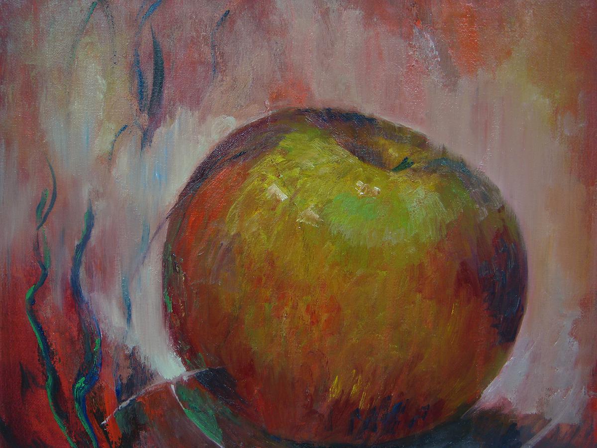 47水草的封面圖