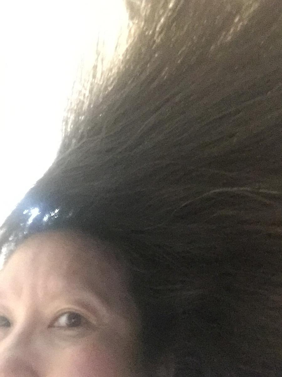 我的身體系列-我的身體5-2017-新竹的封面圖