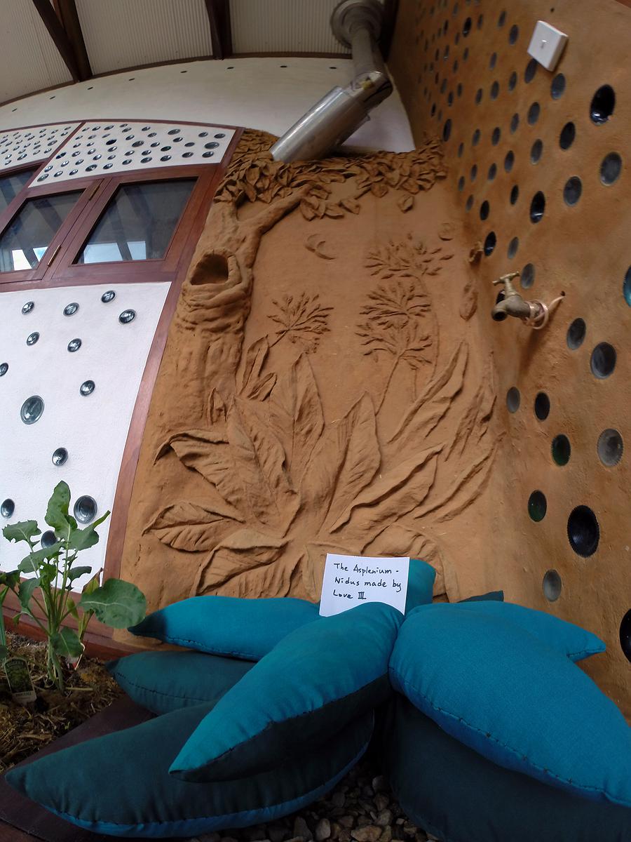 11-27陳于安，〈鳥巢蕨三世〉與布雕的封面圖