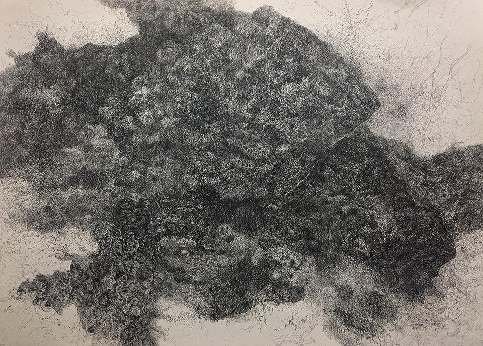 〈無題〉，2017，水性墨、墨、馬糞紙，79 cm × 109 cm.的封面圖