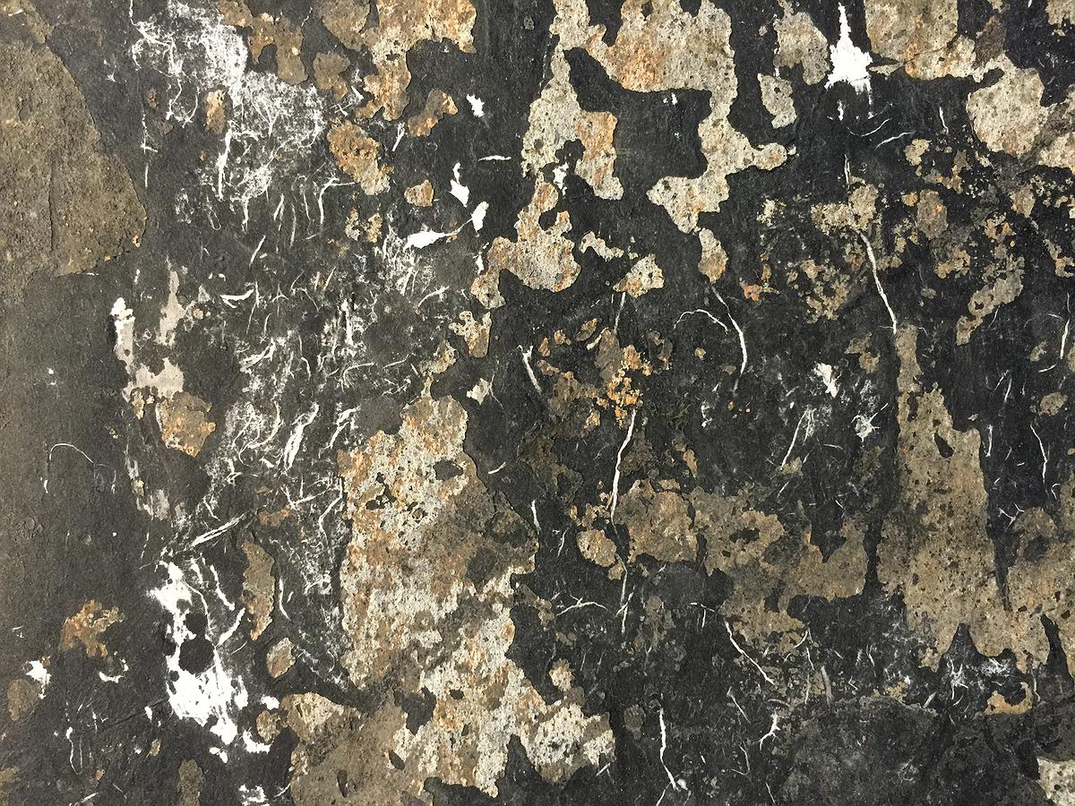 006_2015_據點2_04的封面圖