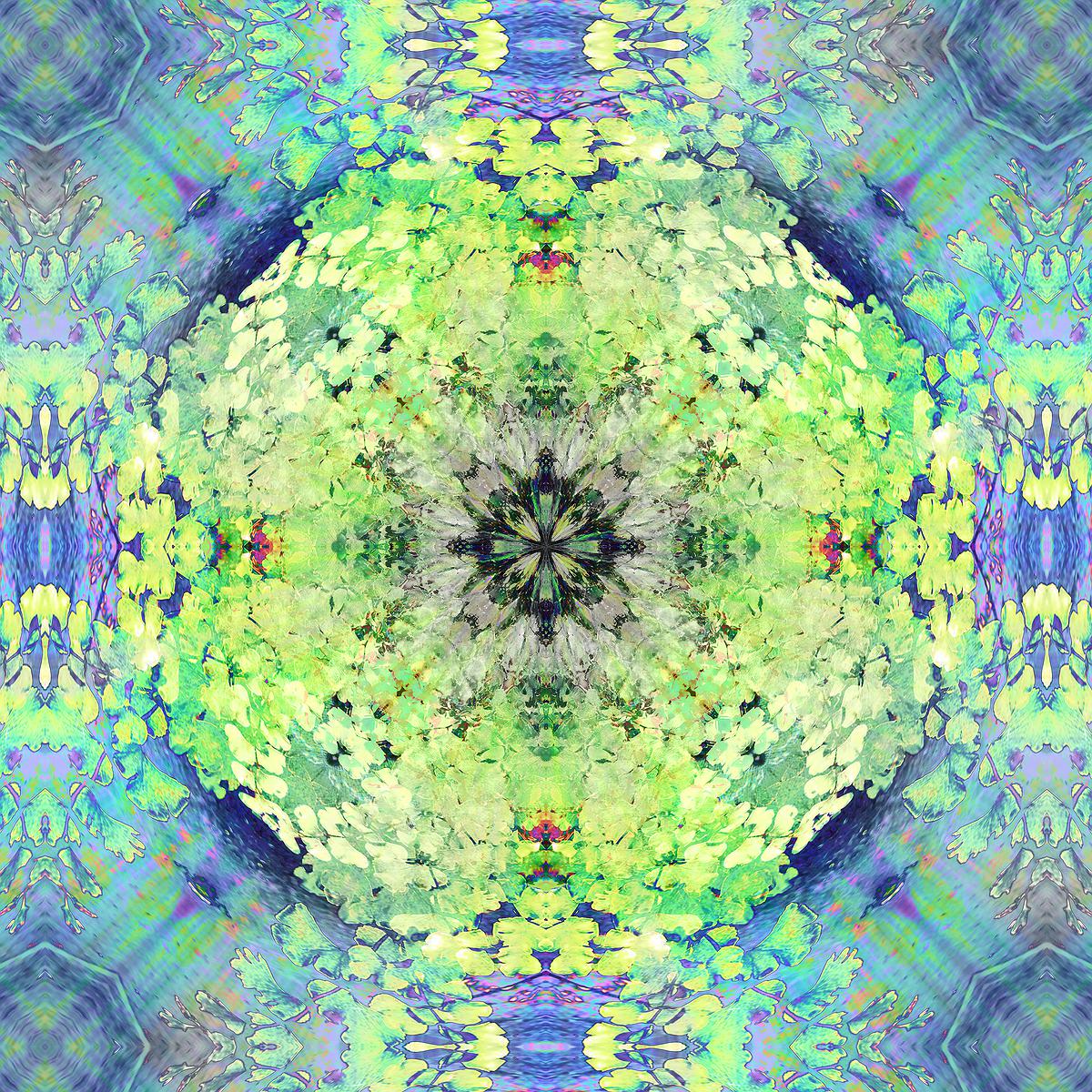 The Study of Using Mandala Drawing for Emotional Relief's Cover