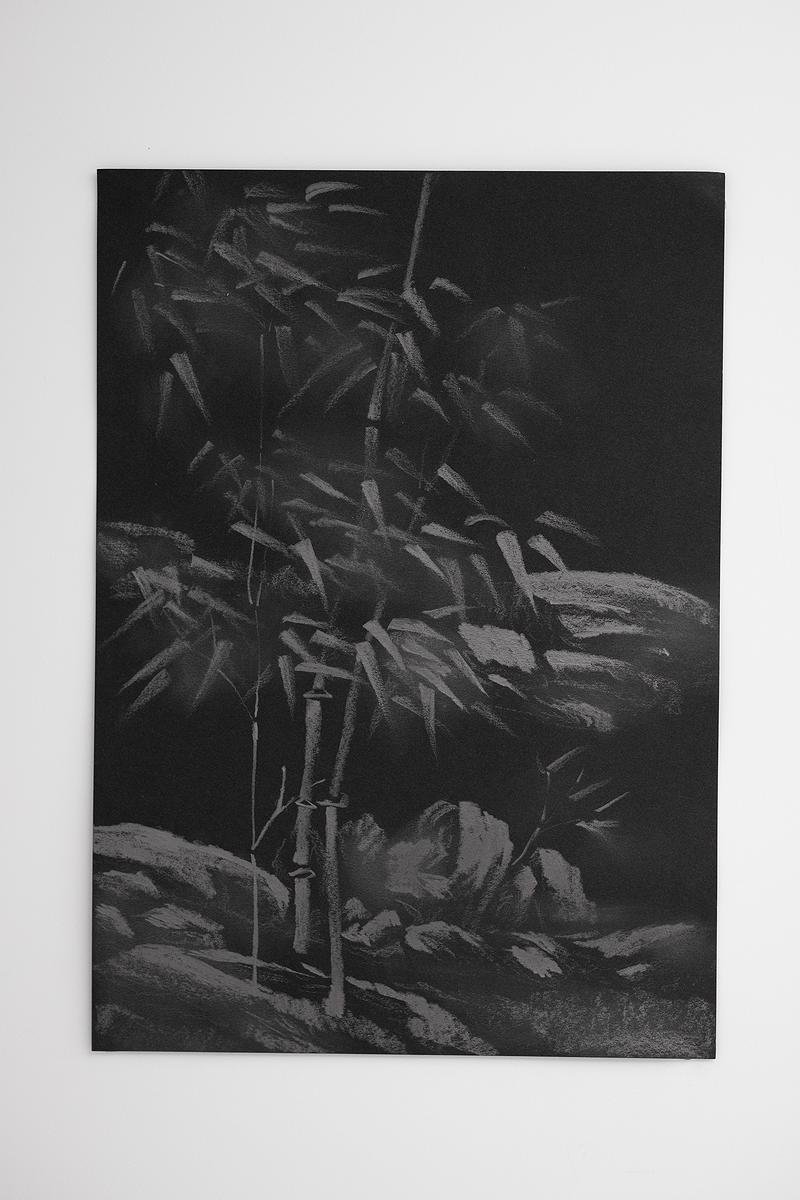 〈竹石03〉的封面圖