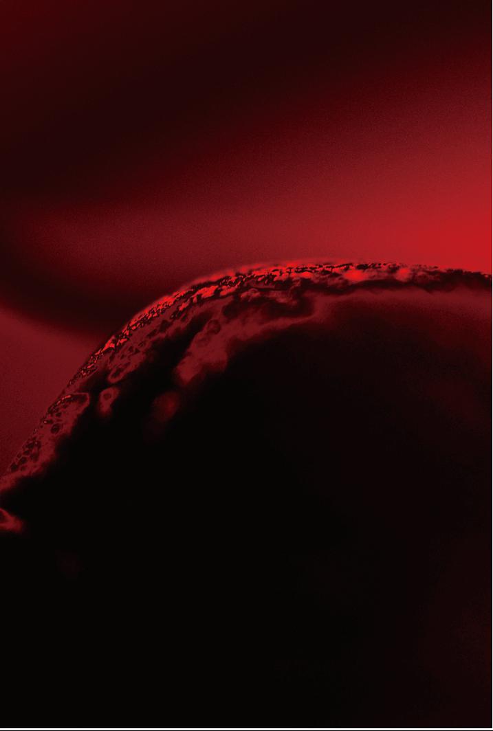 「赤色山丘」 病徵於形態構成之創作研究 1的封面圖