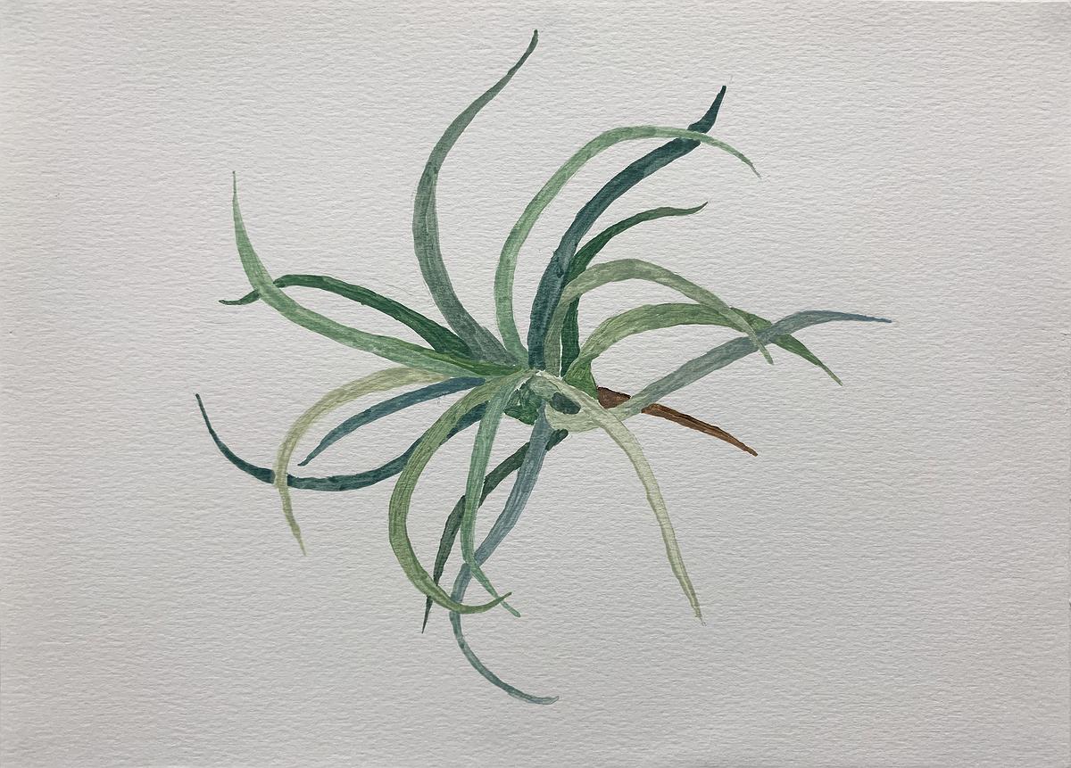 Plants Healing—A Discourse on Ying-Syuan Huang's Artworks's Cover