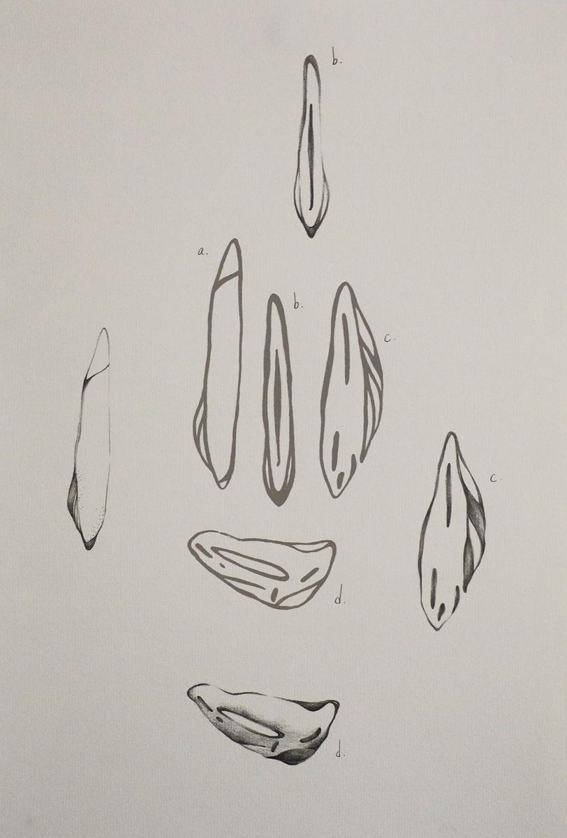 啟動身體感知 — 劉昕宜創作研究 4-3-3的封面圖