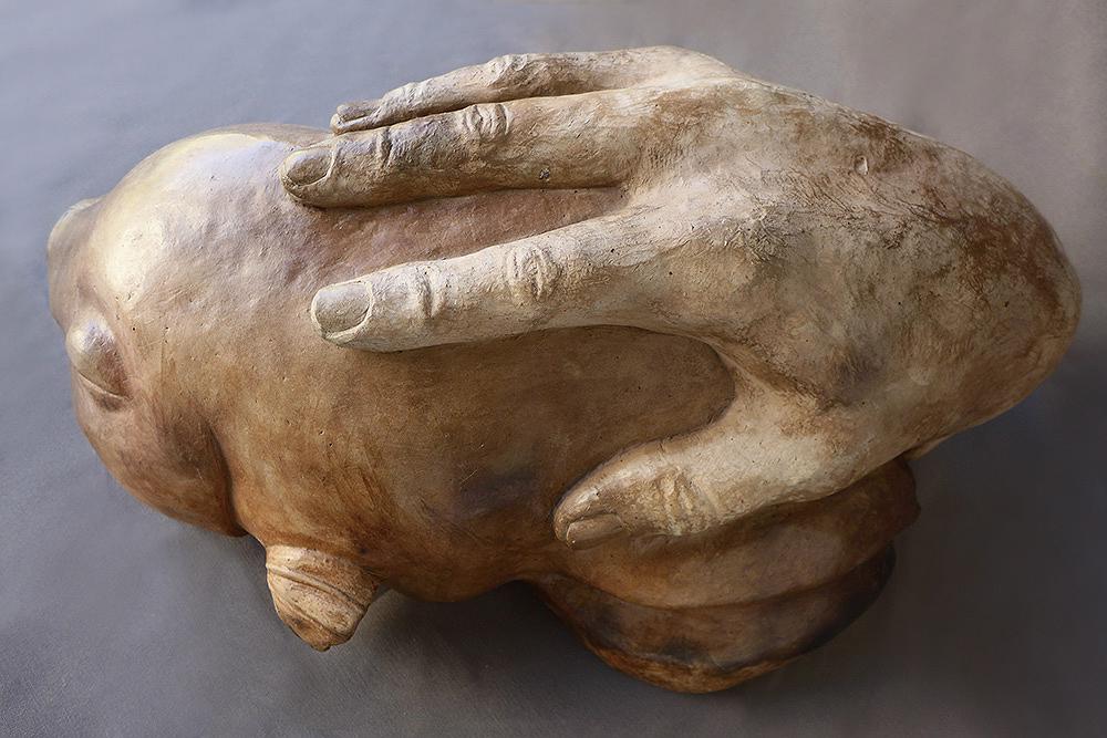 2013撫魚b的封面圖