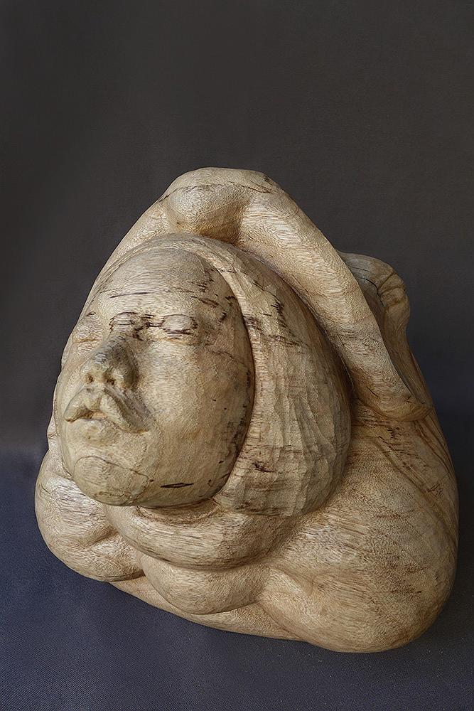 2013共生c的封面圖